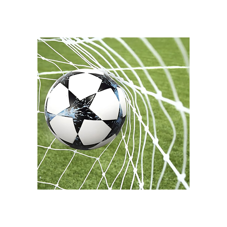 Futbalová bránková sieť