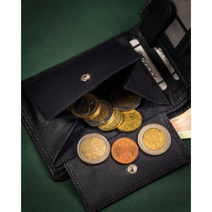 ROVICKY Pánska peňaženka