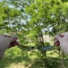 Slnečné okuliare s UV filtrom Trizand s puzdrom